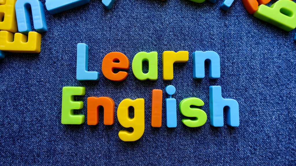 https://karatalk.com/author/cactus/